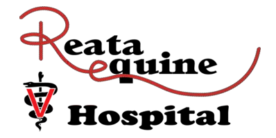 Reata Equine logo